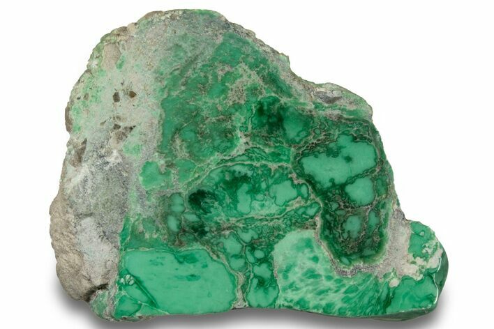 Polished Pastel Green Lucin Variscite ( g) - Utah #256251